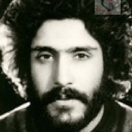 Martyr فریدون بهارلو